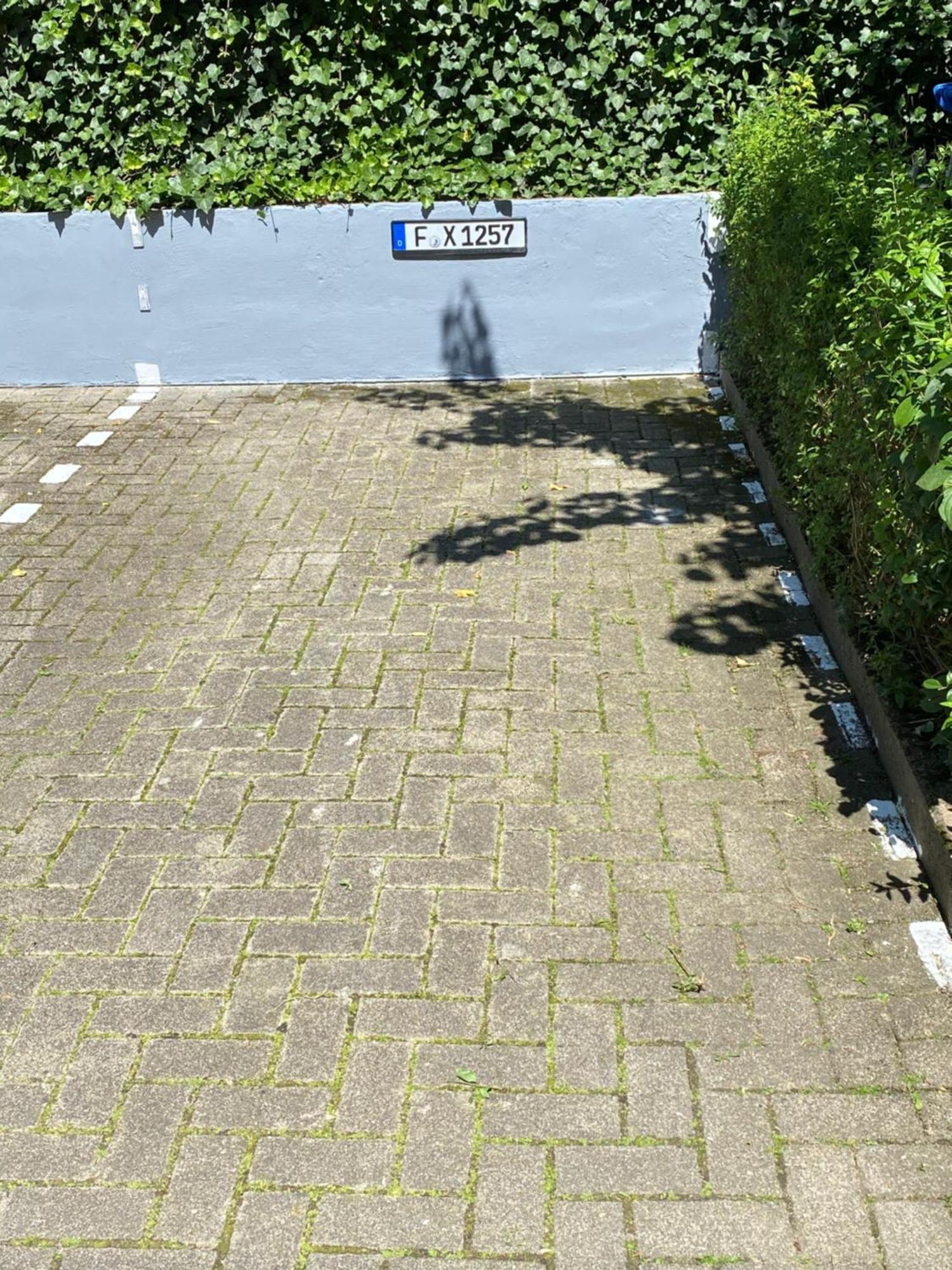 Modernes Apartment *